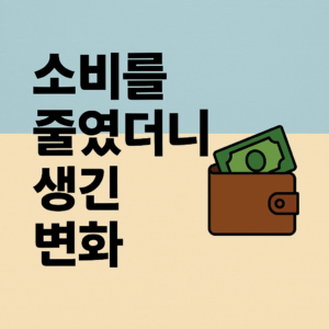 소비를 줄였더니 생긴 뜻밖의 변화들(돈만 아낀게 아니다?)