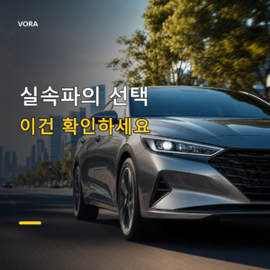 실속파의 선택