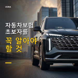 자동차보험 초보자를